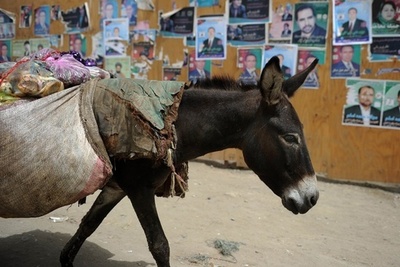 「ロバ爆弾」で4人死傷 アフガニスタン