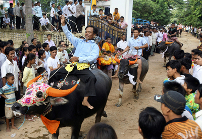 カンボジアの村で、お盆恒例の水牛レース