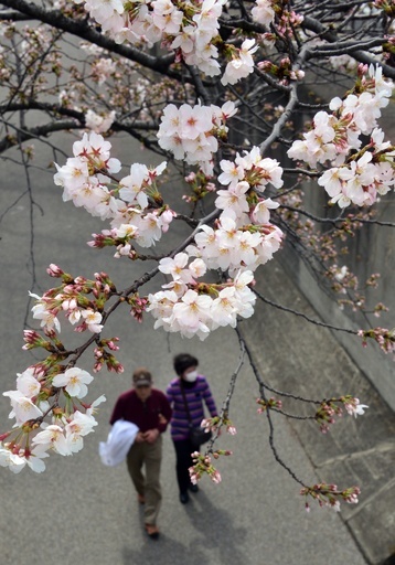 高齢化進む日本、出会い求める中高年