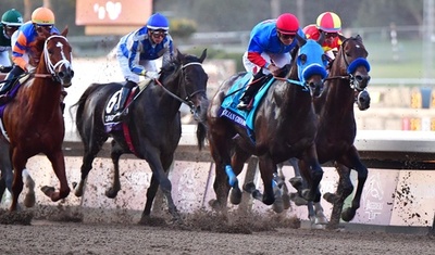 ブリーダーズカップで予後不良、事故多発の競馬場でまた悲劇