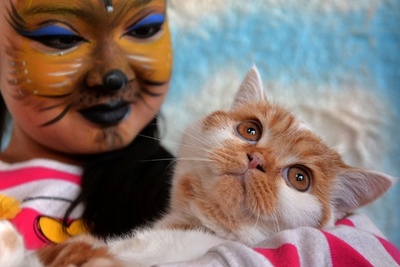 飼い主もネコメーク！キルギスで「ネコ展」開催