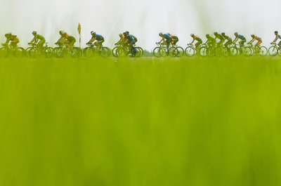 【今日の1枚】稲の波の向こう側を駆け抜ける