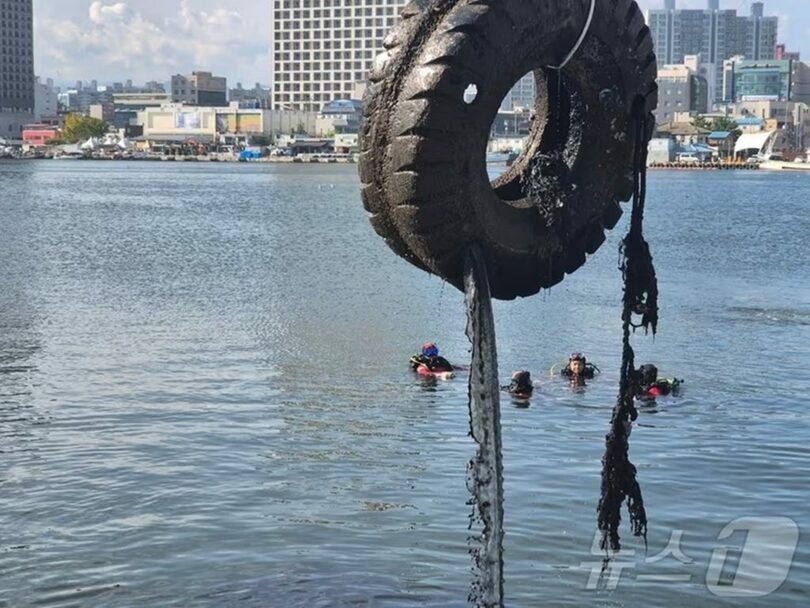 2025年9月30日午後、江原道束草市の青草湖一帯で展開された水中・沿岸の清掃活動(c)news1