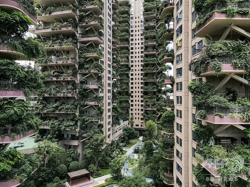 都会の楽園 のはずが 緑あふれる集合住宅 蚊の来襲でほぼ無人に 中国 写真8枚 国際ニュース Afpbb News