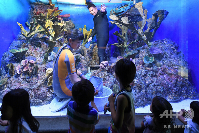ヒト科水生生物の展示 サンシャイン水族館で水槽の清掃作業を公開 写真9枚 国際ニュース Afpbb News