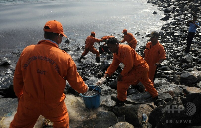 インド沿岸で石油流出、ウミガメの営巣活動への影響懸念