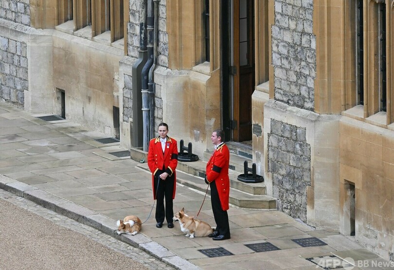 英女王の葬列、愛犬コーギーとポニーも見送る