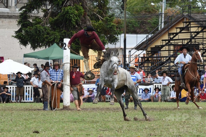 暴れ馬に挑むガウチョ ウルグアイで伝統のロデオ大会 写真16枚 国際ニュース Afpbb News