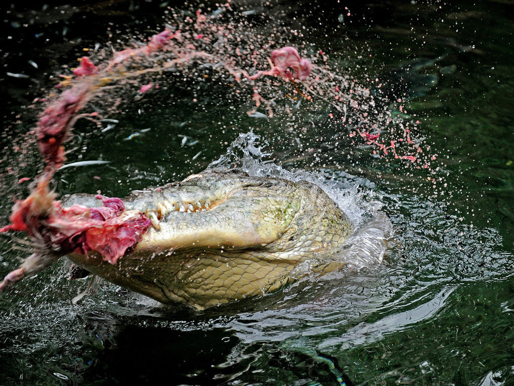 img_dd3d64063db6cecd43097b88dd