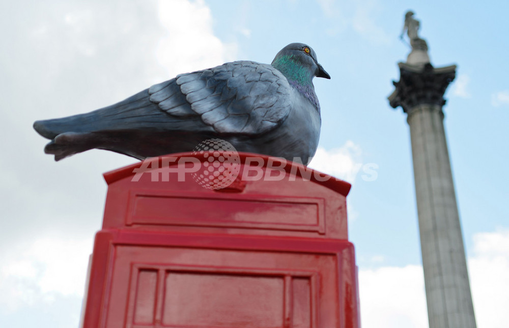 img_dd8578da109e7da273dfb0b664