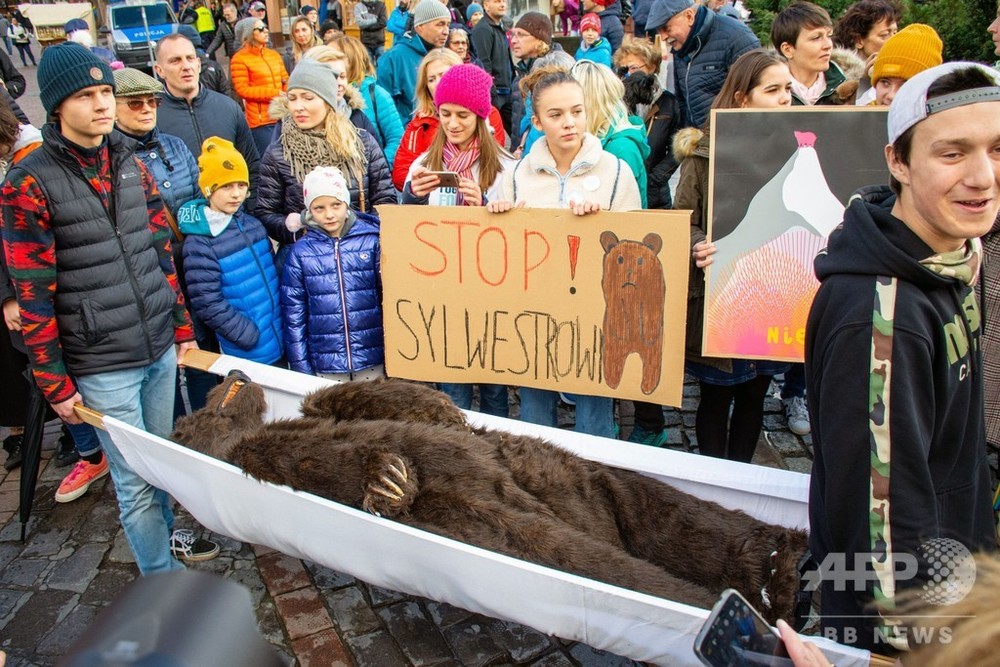 冬眠中のクマ起こさないで 大みそかイベント会場を国立公園に ポーランド 写真1枚 国際ニュース Afpbb News