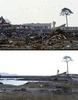 東日本大震災の被災地の震災直後の様子と、2012年1月の様子。

写真上は岩手県陸前高田市の津波被災地に立つ一本松（2011年3月29日撮影）。写真下は現在の様子（2012年1月15日撮影）。(c)AFP/TOSHIFUMI KITAMURA/TORU YAMANAKA
