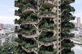 中国四川省成都で、植物に覆われた集合住宅のベランダ（2020年8月3日撮影）。(c)STR / AFP