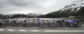 第92回ジロ・デ・イタリア（%%2009 Giro d&apos;Italia%%）第7ステージ（インスブルックからキアヴェンナ、244キロメートル）。チームコロンビア-ハイロード（%%Team Columbia-High Road%%）のエドヴァルド・ボアッソン（%%Edvald Boasson Hagen%%、ノルウェー）が、5時間56分53秒を記録してステージ優勝を飾った。写真は第7ステージに臨む選手たち。（2009年5月15日撮影）(c)AFP/DAMIEN MEYER