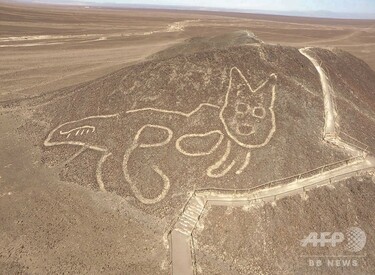 動き出したナスカの地上絵と黒猫