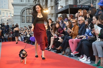 パグがランウェイに、上海で犬のファッションショー開催