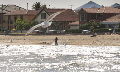海面上昇で沿岸住民数千世帯が避難の恐れ、オーストラリア報告書