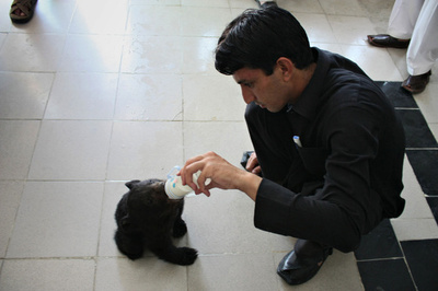 クロクマの赤ちゃんを子供たちが保護、パキスタン