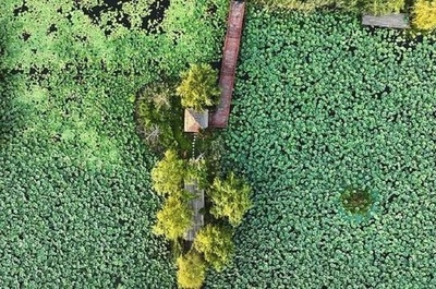 「国際湿地都市」 中国は13都市を占め世界最多