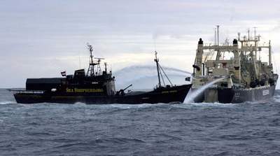 豪警察、シー・シェパードの母船を捜索