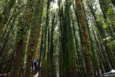 中国で自分の写真をアップすると「著作権侵害」 賠償請求の事例が増加中