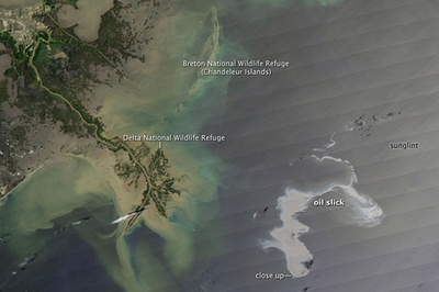 流出原油の焼却を開始、メキシコ湾の石油基地爆発事故