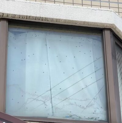 「窓にハエびっしり、何か変だと」…日本在住の韓国人が発見「孤独死とみられる」状況