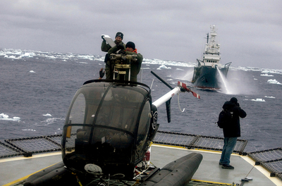シー・シェパード、「音波攻撃は危険」と日本の捕鯨船を非難