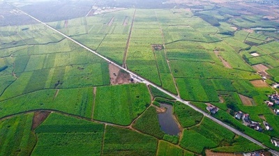 サトウキビ栽培から見えてくる、中国の農業現代化の「実力」