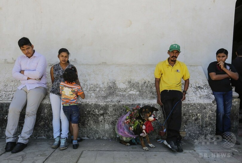 愛犬を着飾り健康祈願、中米ニカラグアで聖ラザロの祭り
