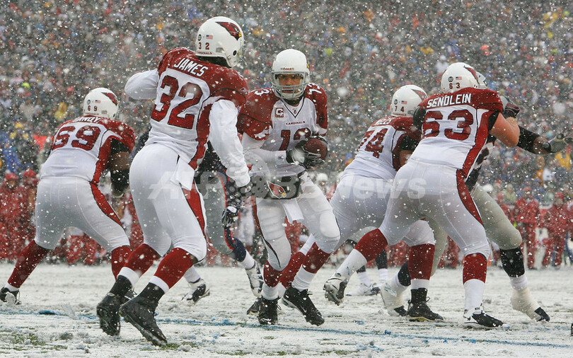 ペイトリオッツ カーディナルスに快勝し10勝目