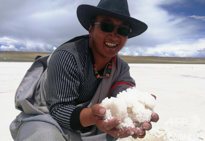 数百年塩を羊で運び続けた交易路 チベットの「塩羊古道」