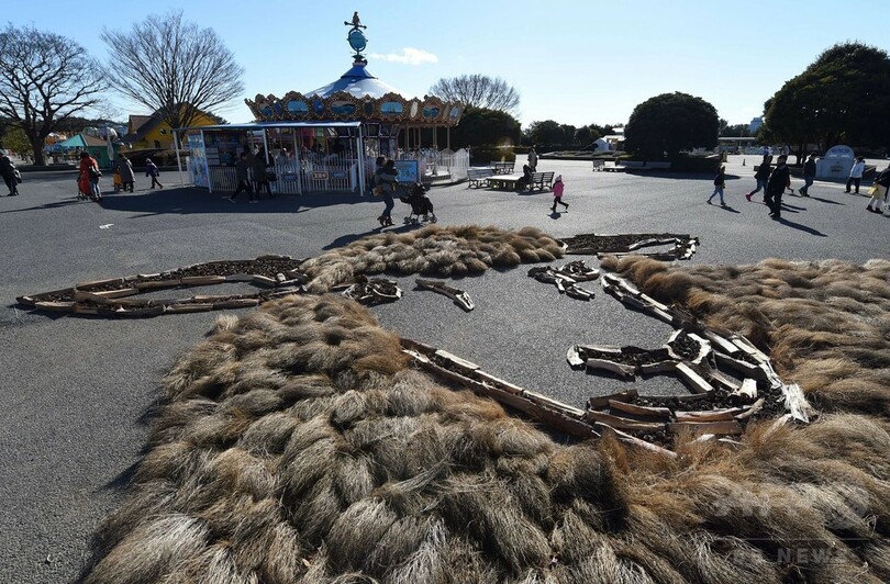 空から見てね、巨大なヒツジの地上絵 ひたち海浜公園