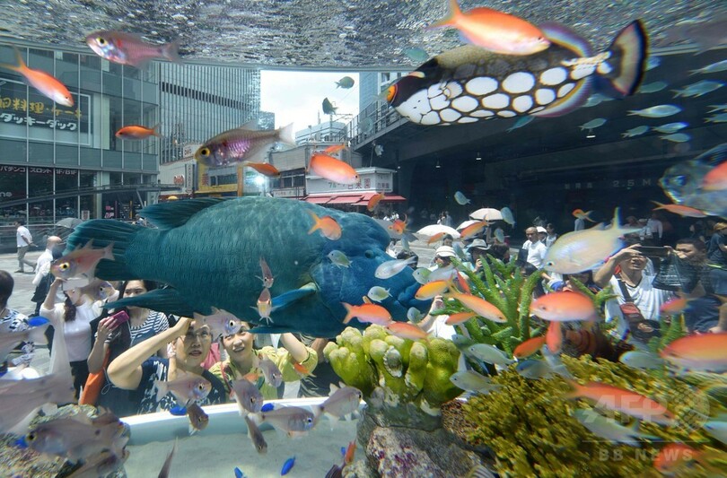 東京都心に沖縄の海、「ソニーアクアリウム 2017」開催