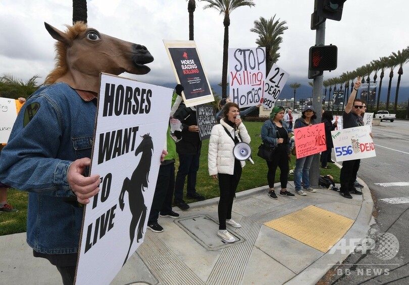 米競馬の名コースが無期限閉鎖、昨年末から21頭死ぬ
