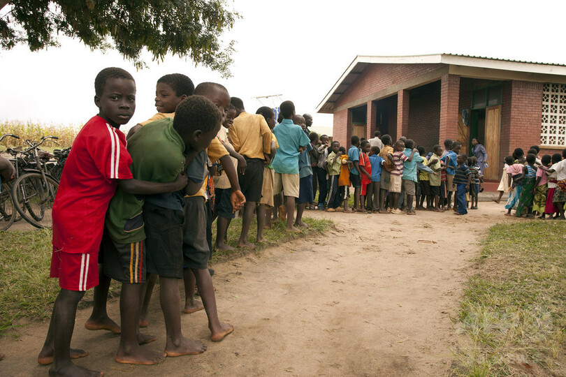 栄養不良の悪影響、腸内細菌で対抗 マウス実験で効果