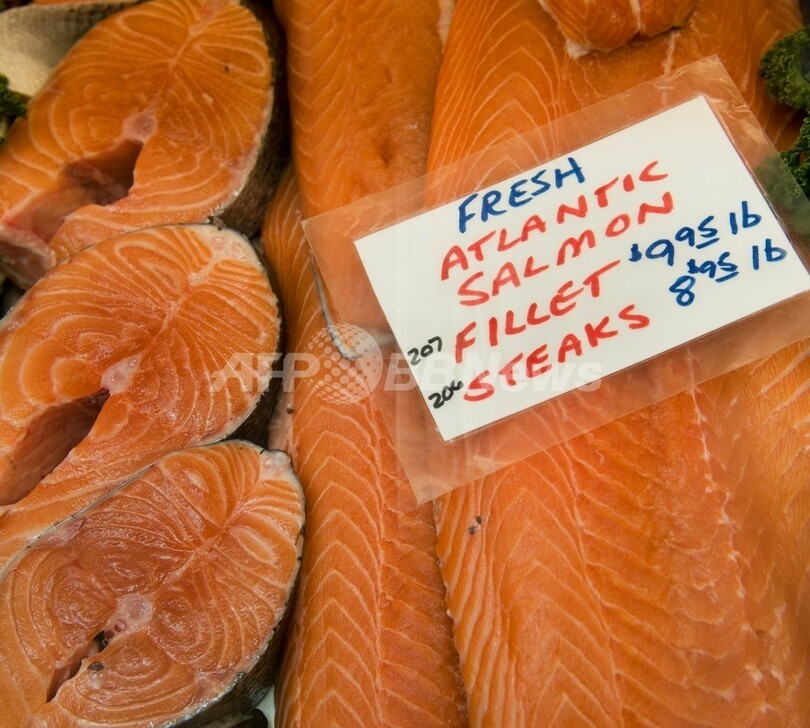 善玉脂肪EPAの高純度サプリ、大腸がんリスク抑制に効果