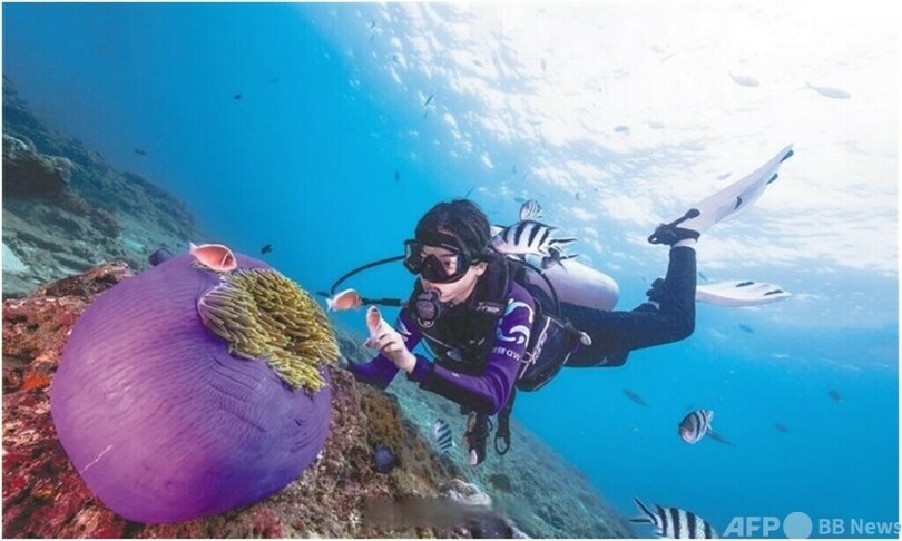 海底で「植林」して生態系を守る 中国