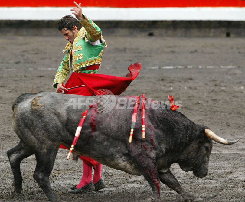 ビルバオのお祭りで、闘牛大会開催