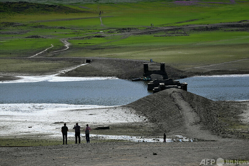 干上がった貯水湖、草に囲まれる桟橋 ドイツ