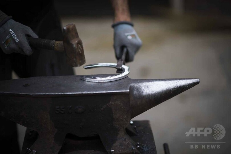 【AFP記者コラム】美しく唯一無二、パリ郊外にある馬専用施設