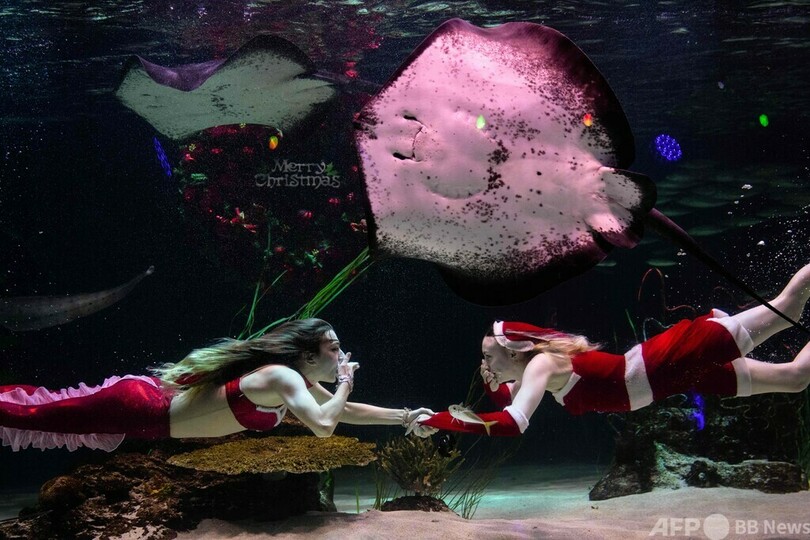 クリスマステーマの水中ショー 韓国