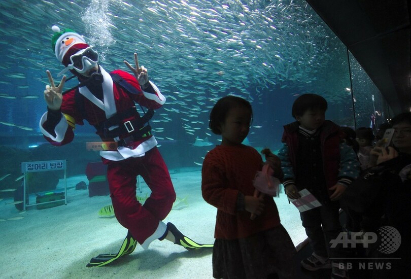 水中クリスマスショー、サンタガールのパフォーマンスも 韓国