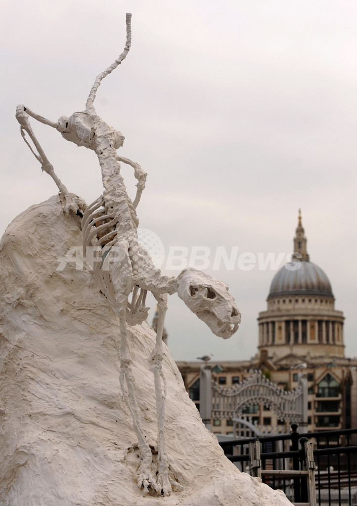 ロンドンにトラのがい骨 5日間でトラに変身 英国 写真2枚 国際ニュース Afpbb News