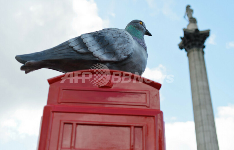 そのハト、ちょっと大きすぎない？英ロンドン名物の電話ボックスがアートに