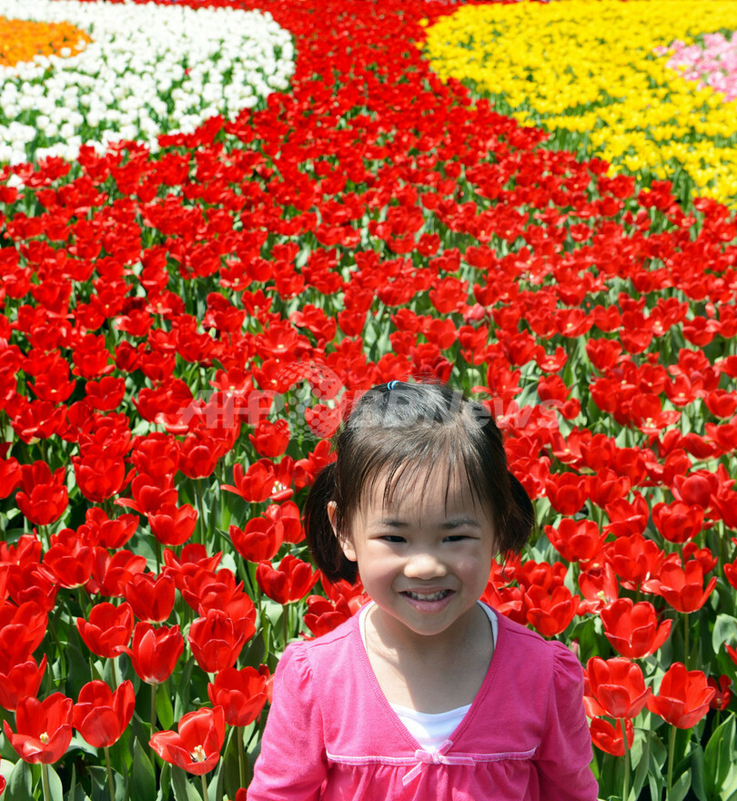 花で造られた世界のモニュメント、香港フラワー・ショー
