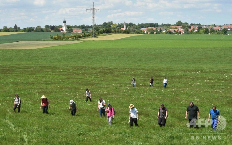 【今日の1枚】子鹿はどこだー？ 牧草地の人海戦術