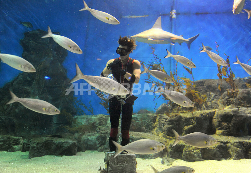 ｢脱出王｣にちなんだ水中脱出マジック 豪メルボルン