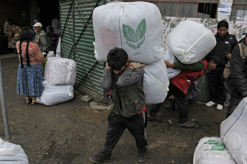 ボリビア、コカ栽培を拡大する新法案が成立