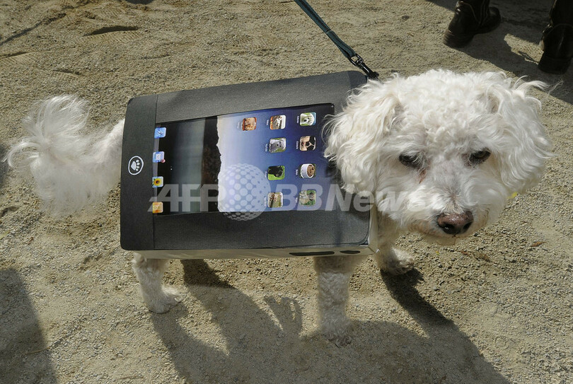 ハロウィーンはペットも大忙し･･･犬たちがパレード、米国